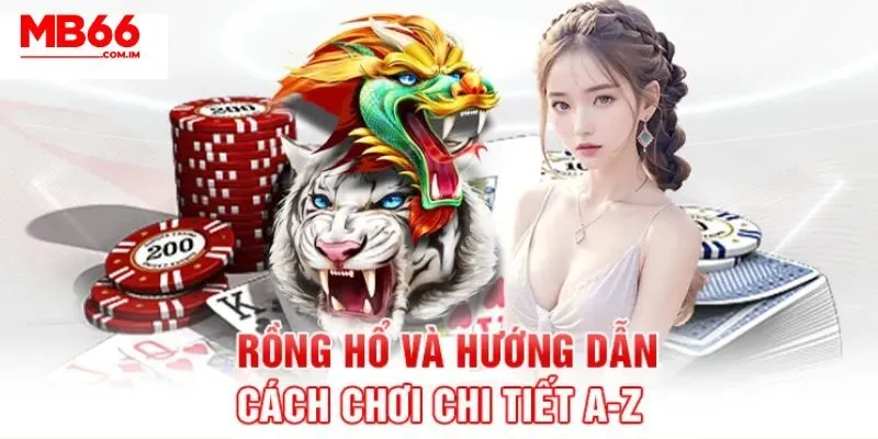 Tìm Hiểu Chi Tiết Hướng Dẫn Tham Gia Siêu Phẩm Rồng Hổ MB66